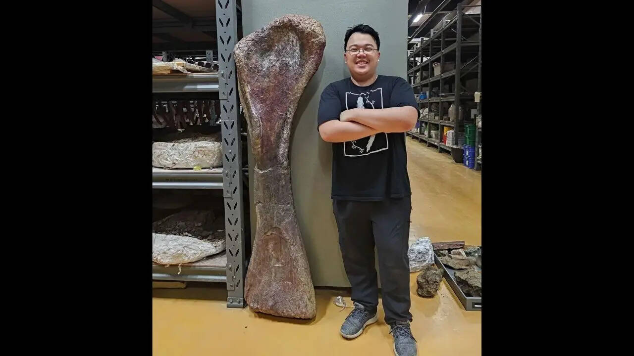 According to Thitiwoot Sethapanichsakul, the researchers referred to the Nagatitan as "the last titan" of Thailand