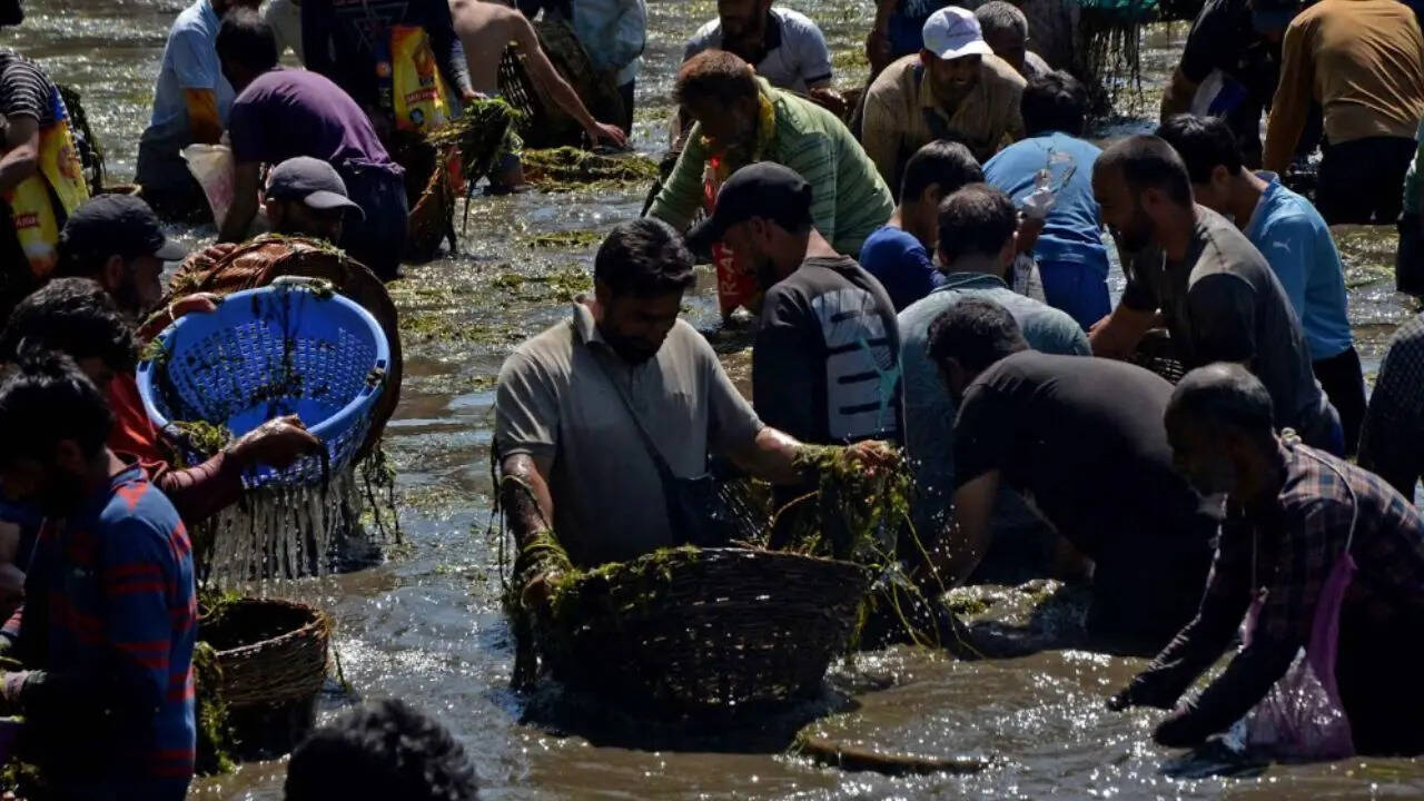 fishing festival
