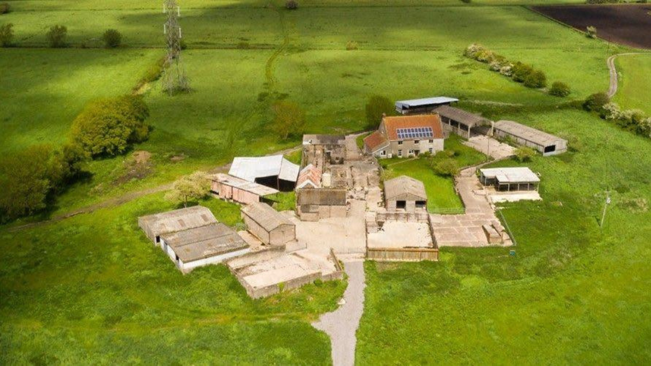 Saving planet and pollinators: Morgan Freeman turned his 124-acre ranch into a paradise sanctuary for bees