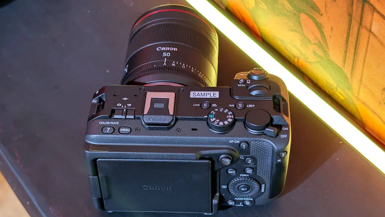 Canon EOS R6V body