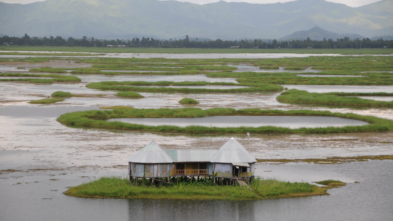 This mysterious floating lake with circular islands in India is also home to one of the world’s longest snakes