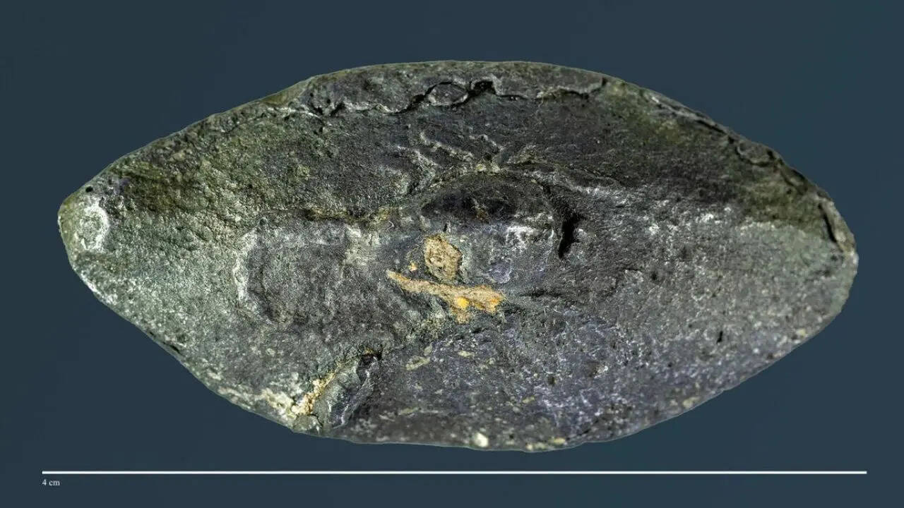 This ancient bullet carried a secret 2,100-year-old Greek word that shocked experts worldwide revealing ‘sarcastic’ war message