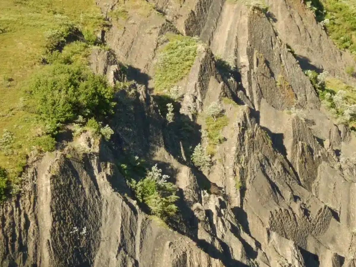 Denali’s “Coliseum”