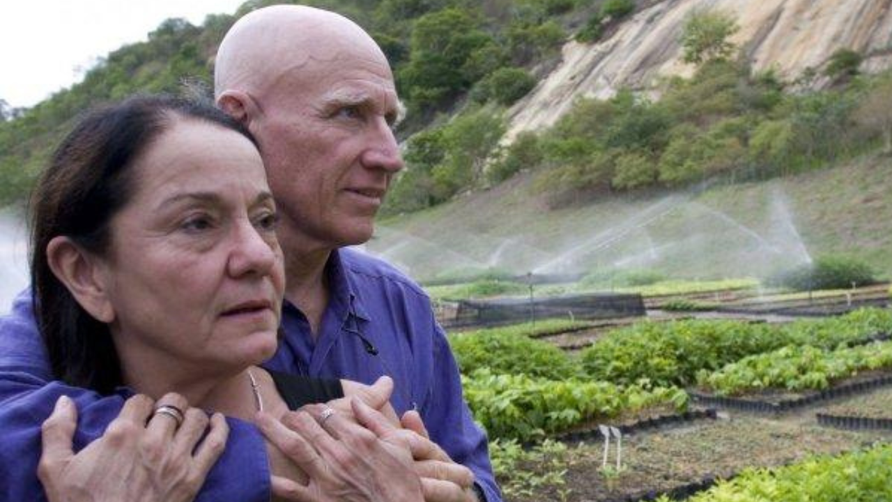 Earth healers: Couple planted 2 million trees and brought an entire forest back to life