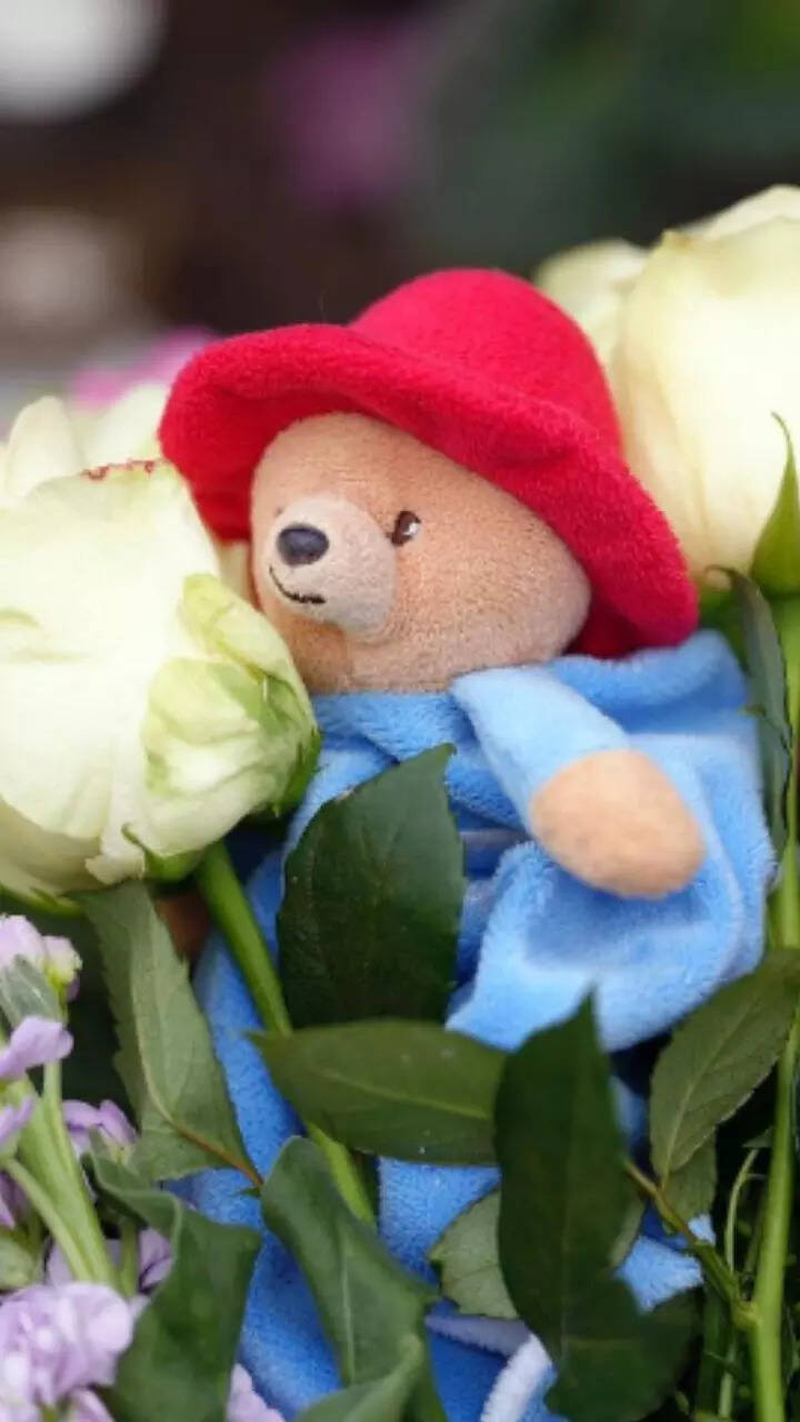 Paddington Bear's association with Queen Elizabeth II