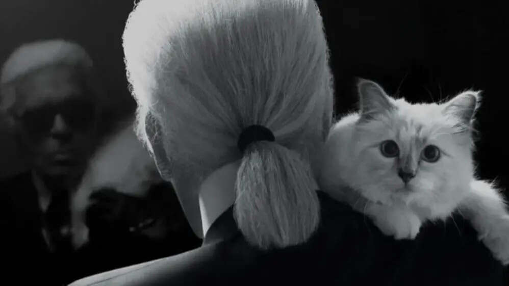 Meet the world’s richest cat who is worth $200m dollars