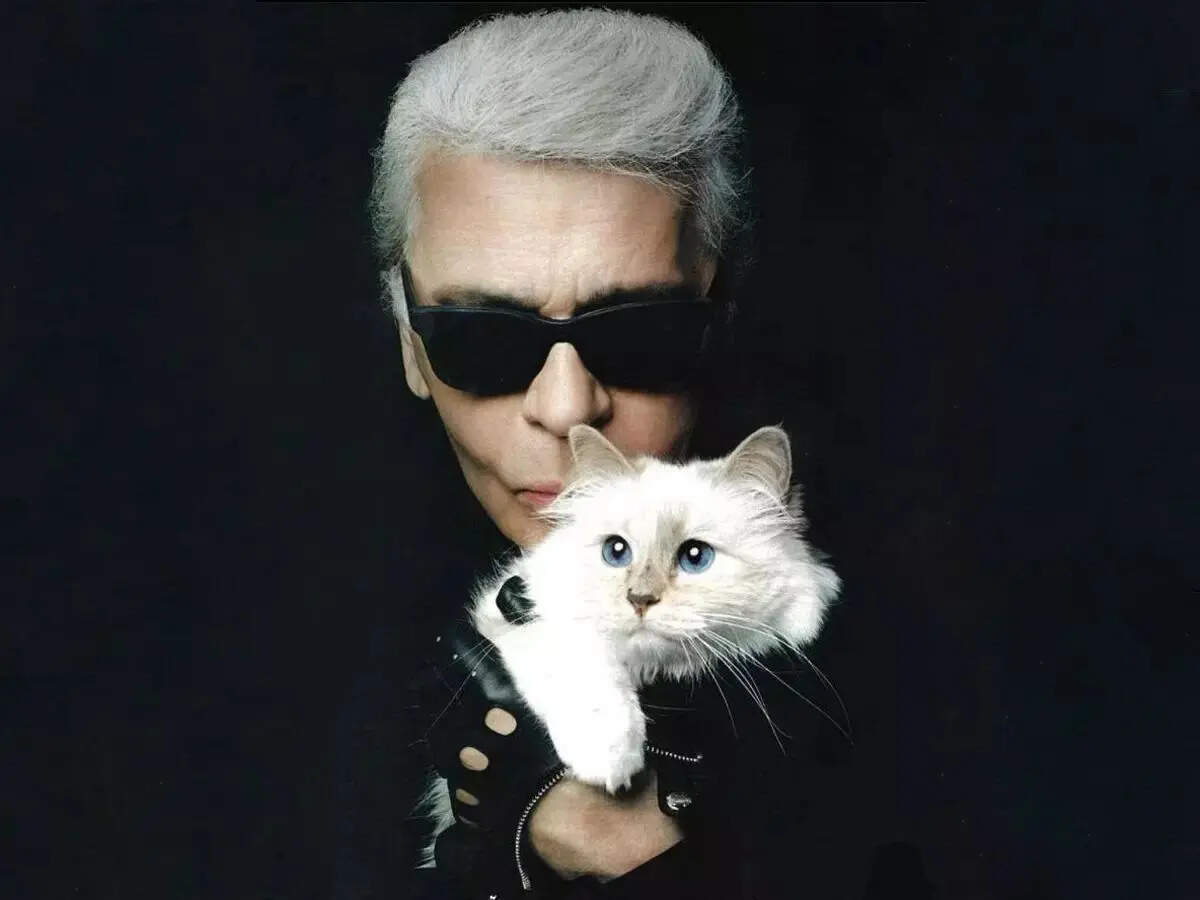 Choupette (Source: Instagram)