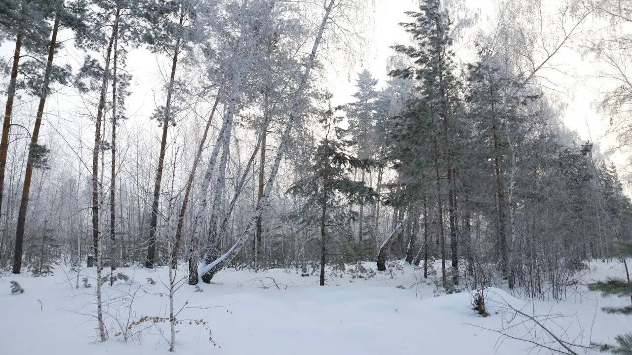Russia