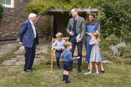 The Diplomatic Warfare Behind Sir David Attenborough’s Megalodon Gift to the Royal Family