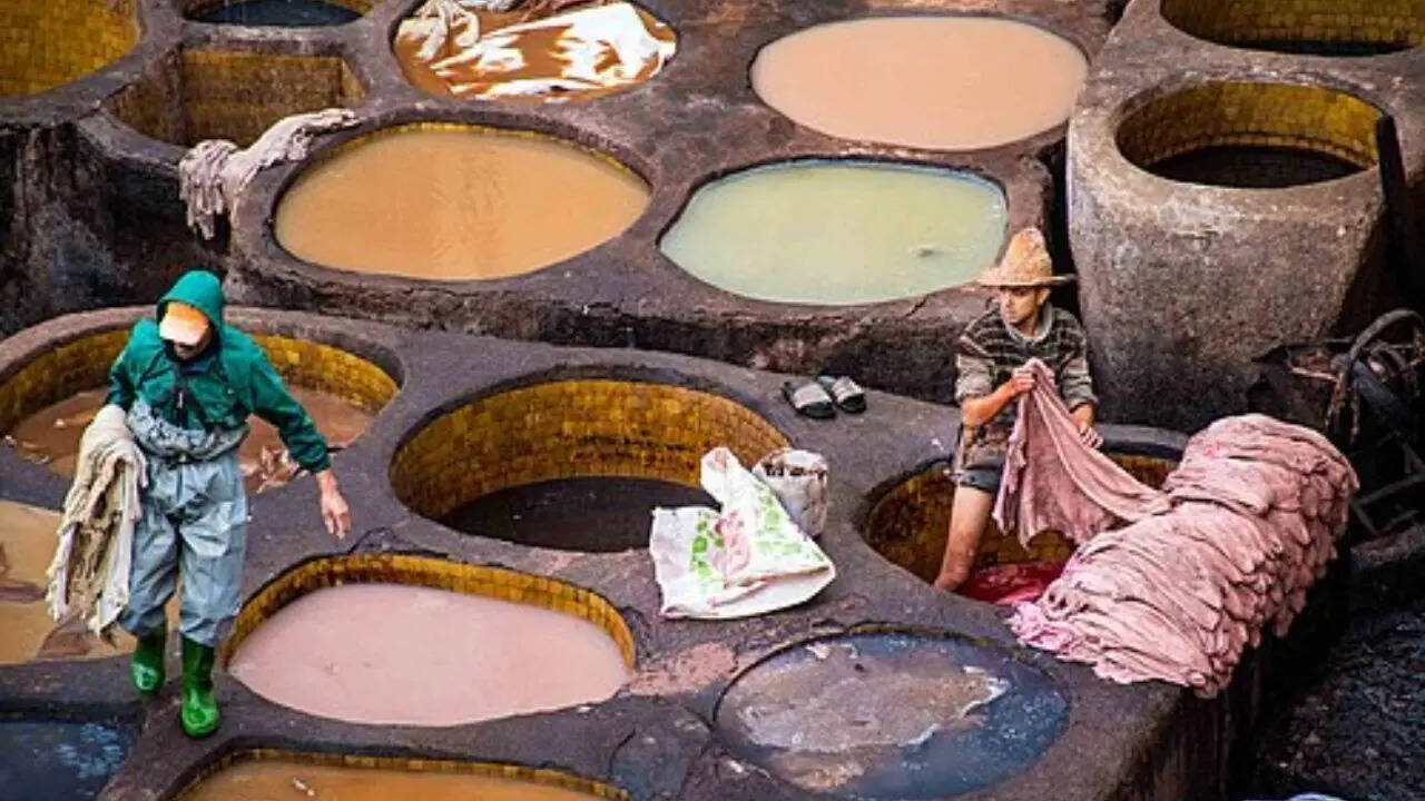 Chouara Tannery in Fez: The oldest and smelliest leather-making site in Morocco