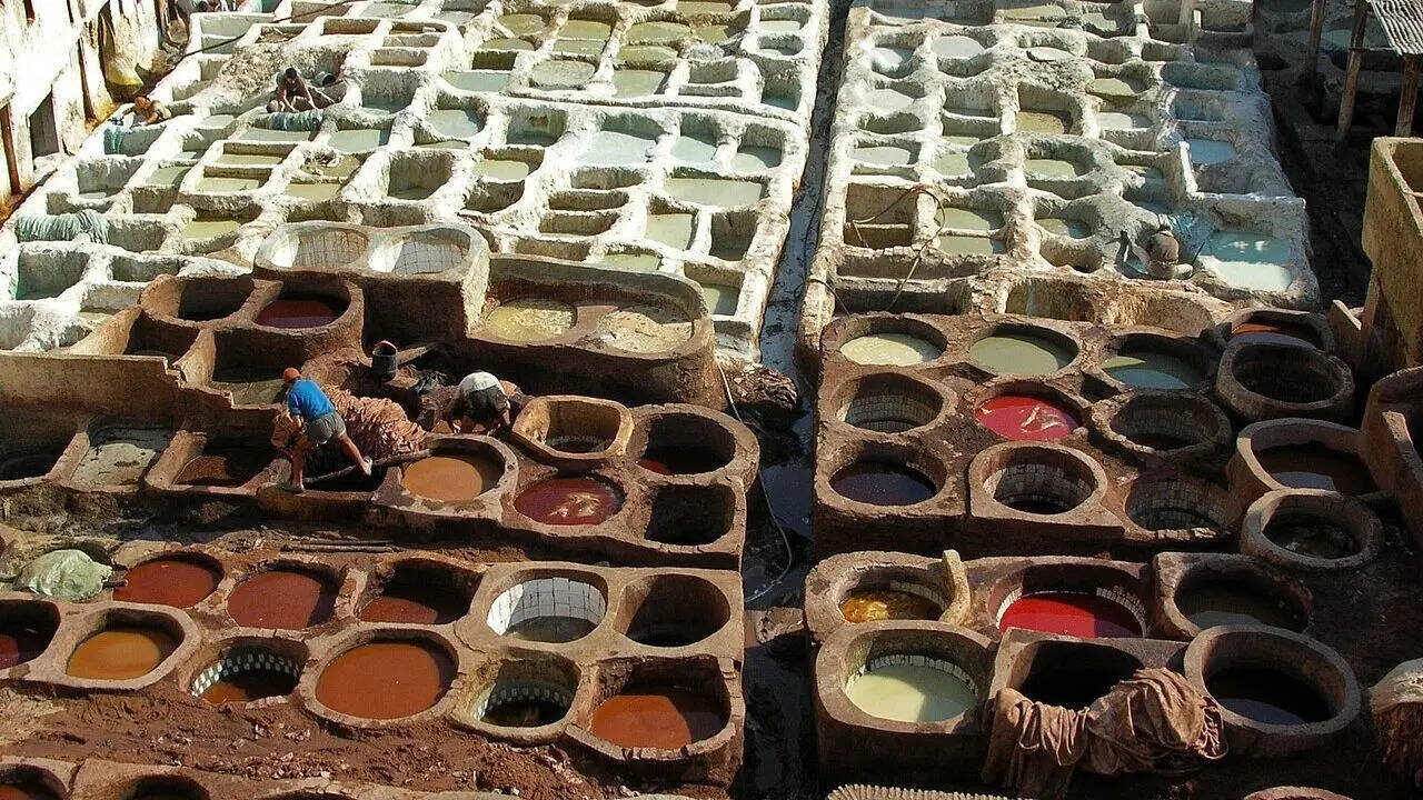 Chouara Tannery in Fez: The oldest and smelliest leather-making site in Morocco