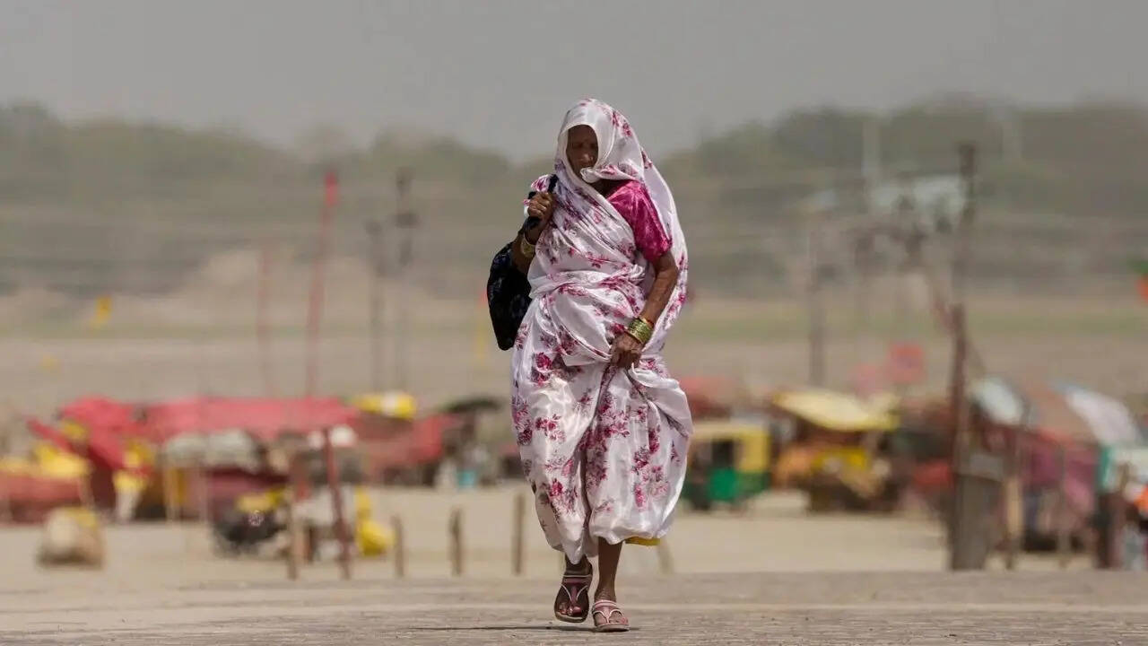 Delhi, UP, Rajasthan, Punjab & more states sizzle in heatwave: What's fuelling temperature spike