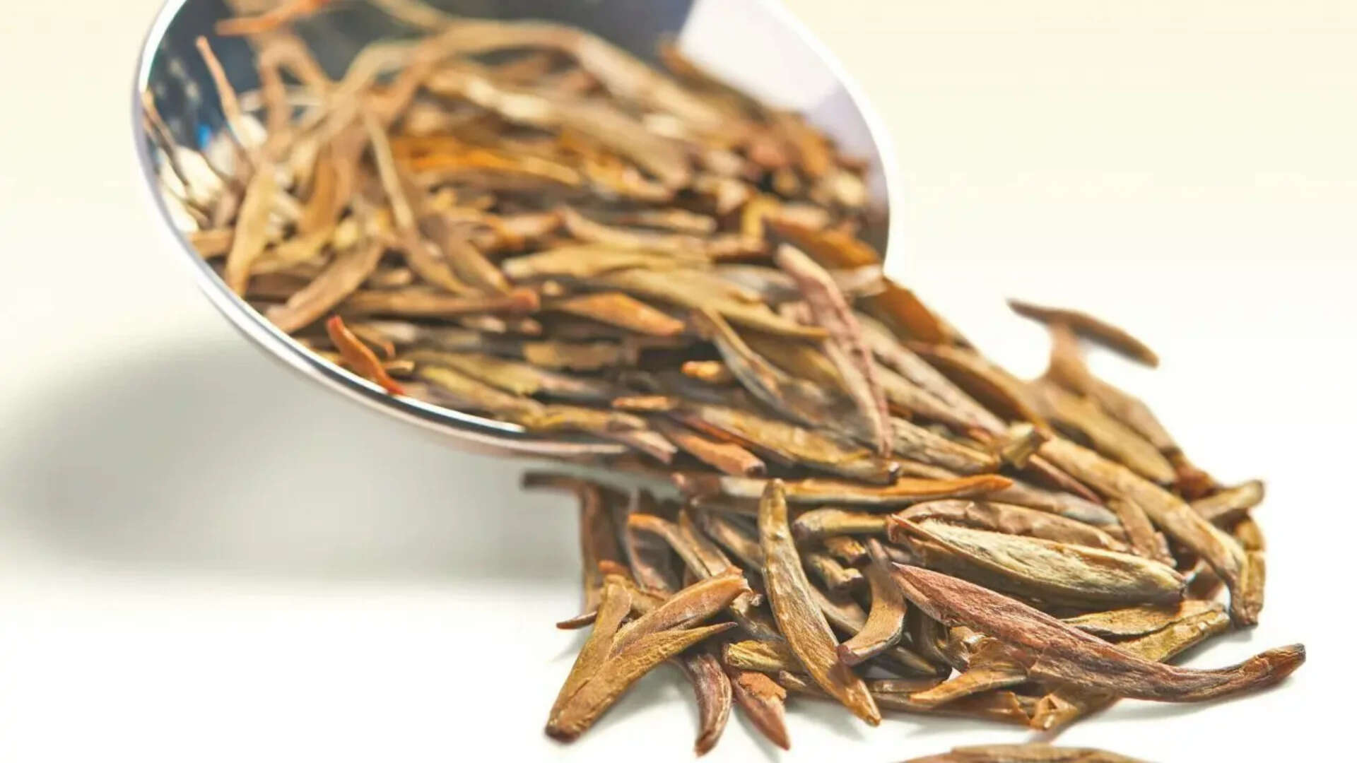 Yellow Gold Tea Bud