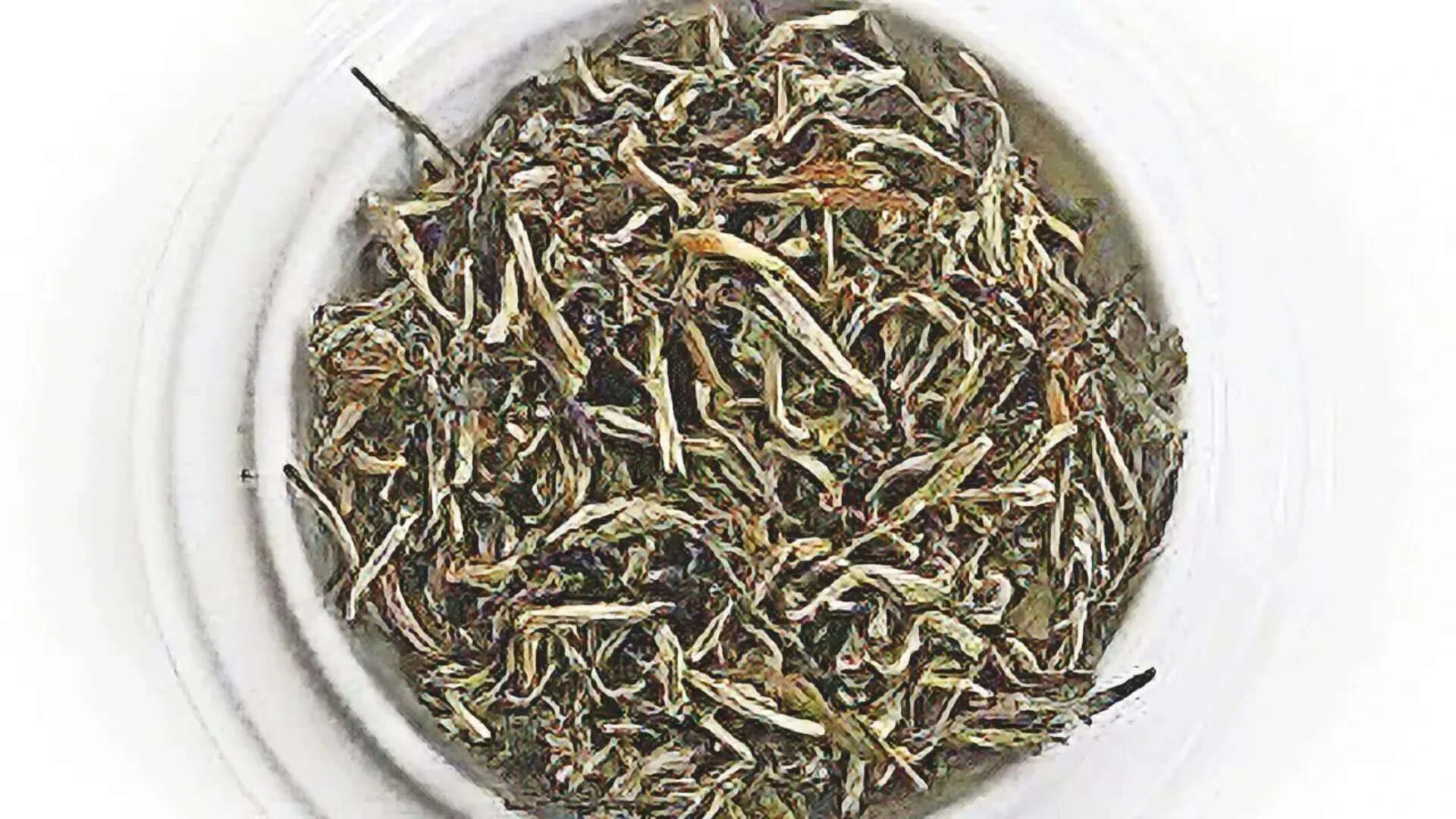 Silver Tips Imperial