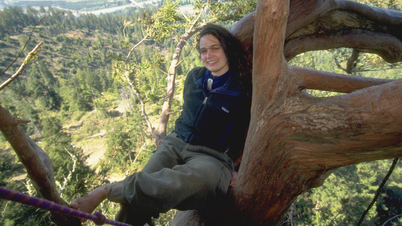 Inside Julia Butterfly Hill’s 738-day protest inside a tree