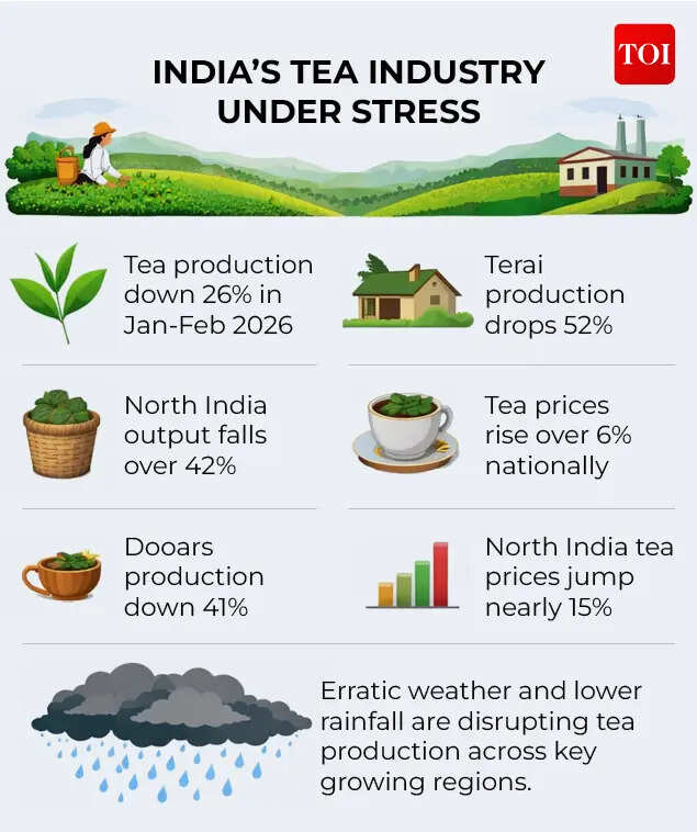 Tea industry under stress