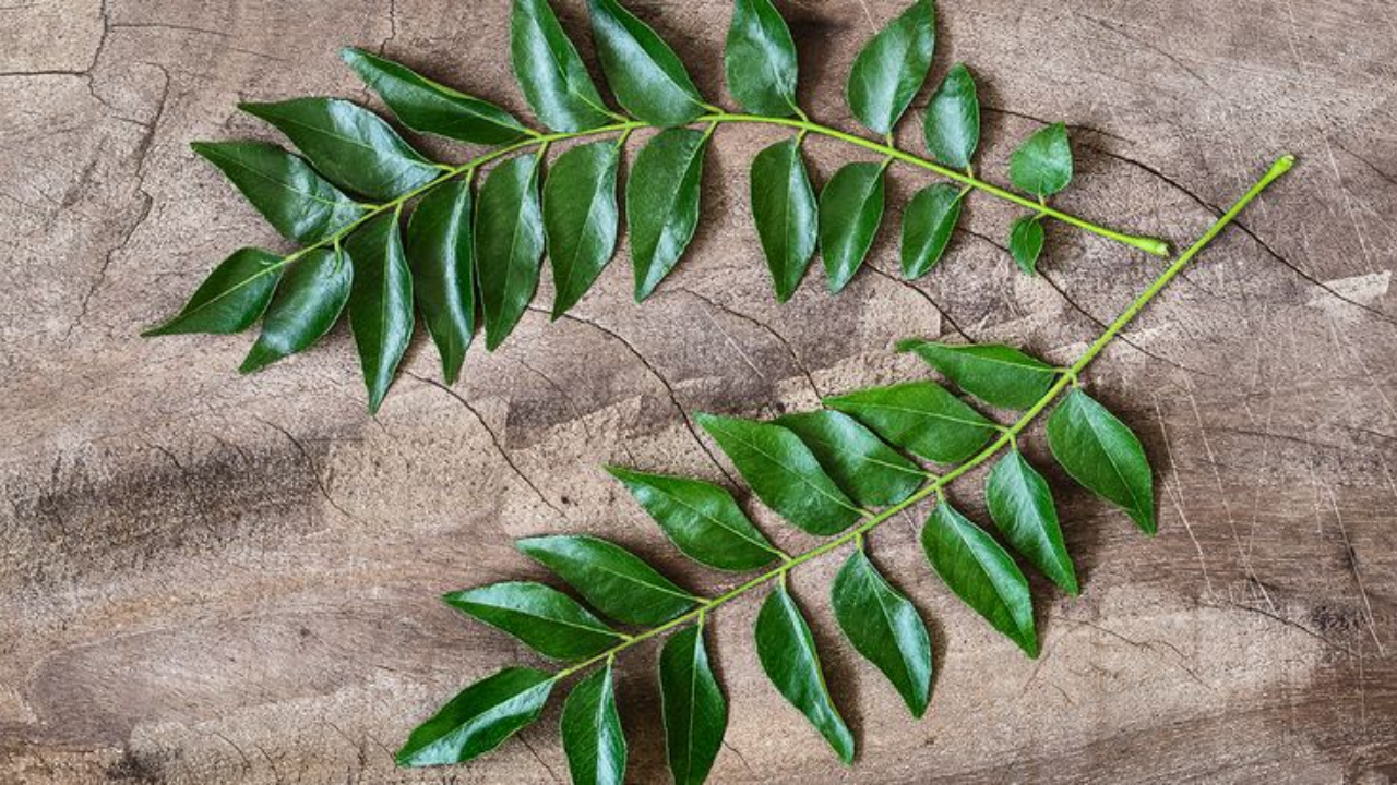 The Benefits Of Sleeping With Curry Leaves
