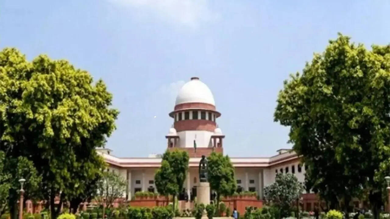 Political banter finds its way into legal arguments in SC
