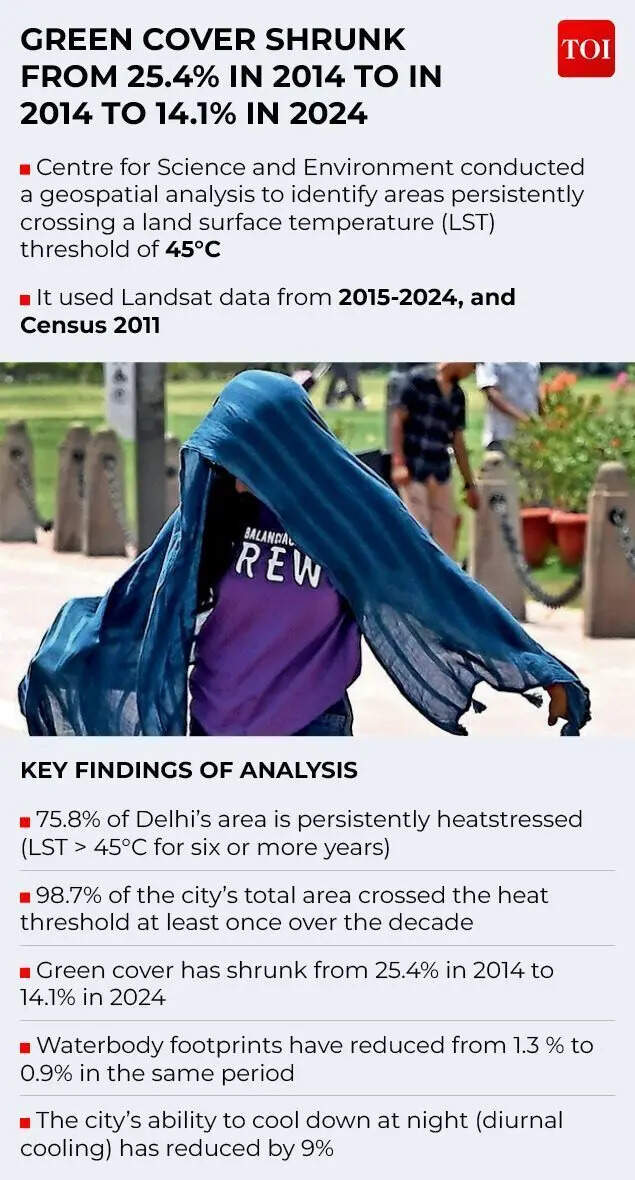 Delhi heatwave