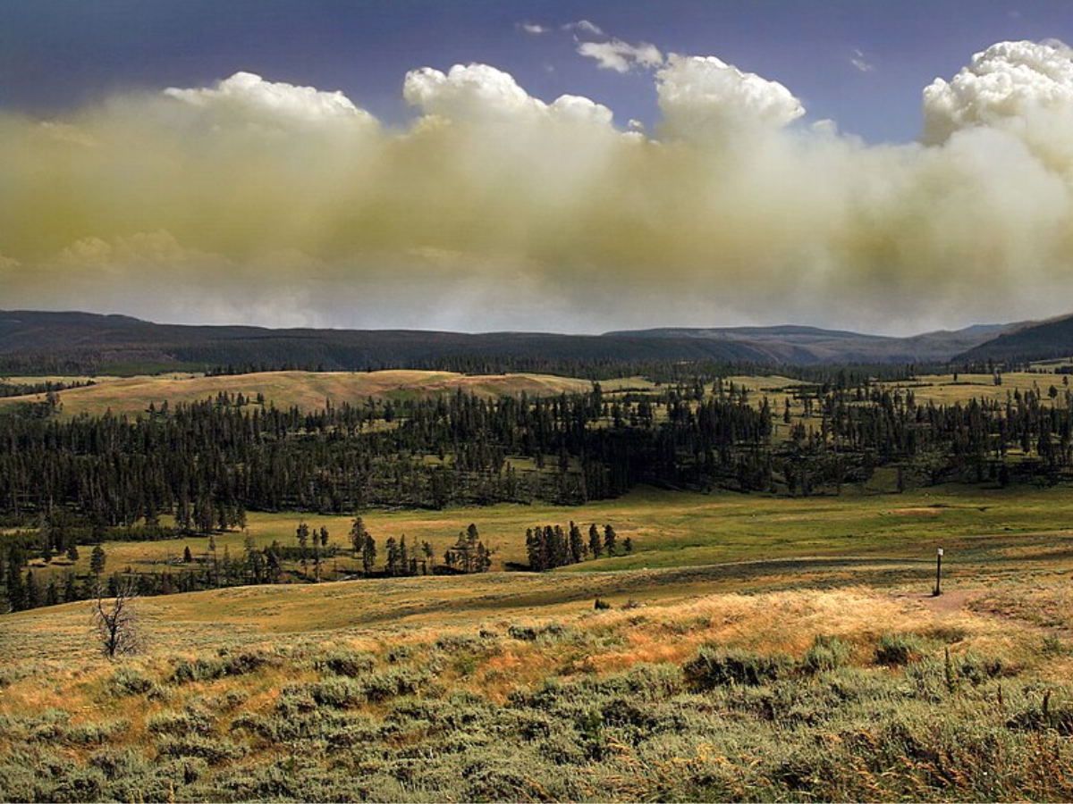 Image of Yellowstone National Park