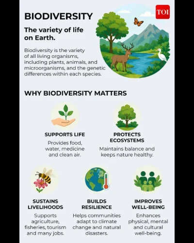 The variety of life on earth Biodiversity