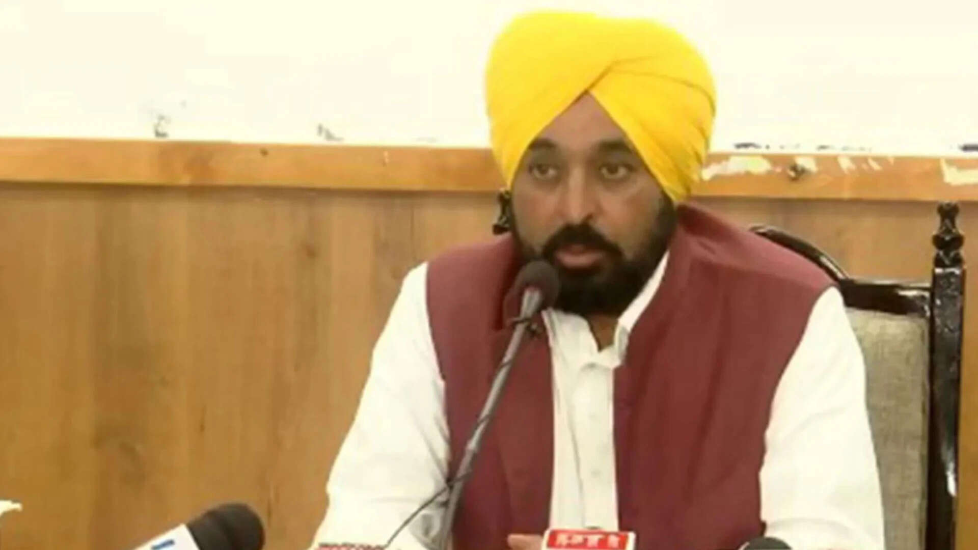 Punjab launches campaign against stray dogs; CM Mann says will follow SC order