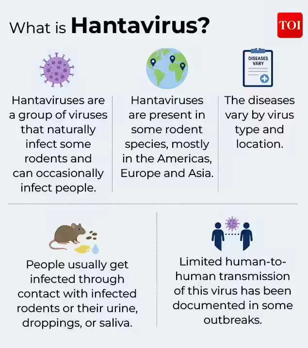 What is Hanta virus?