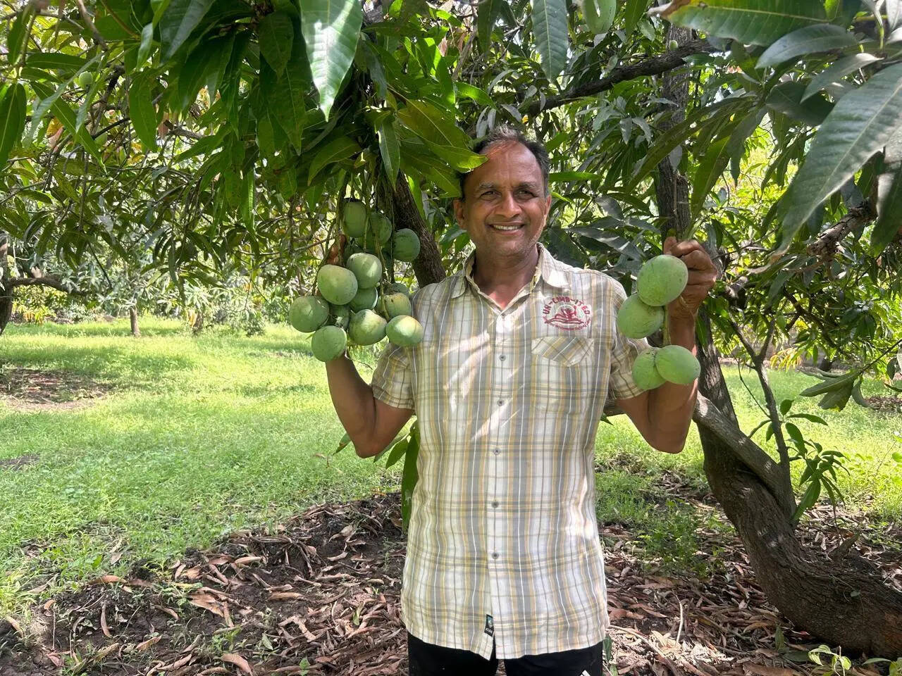 Indigenous varieties