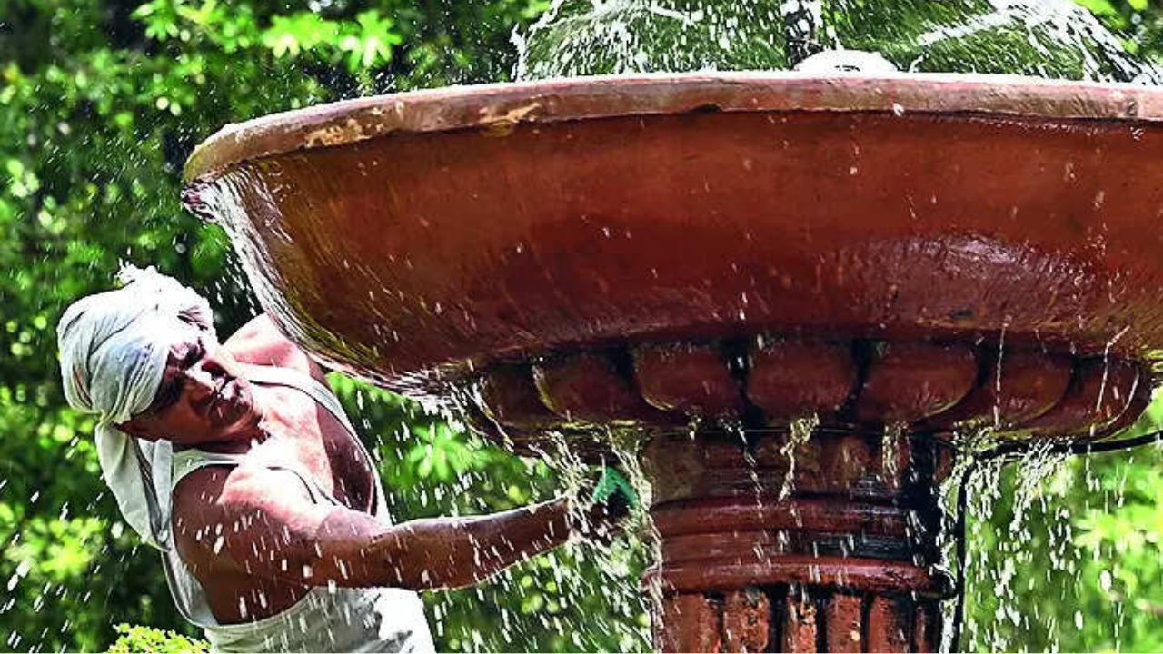 Delhi weather: Relief short-lived, brace for heatwave spell from today