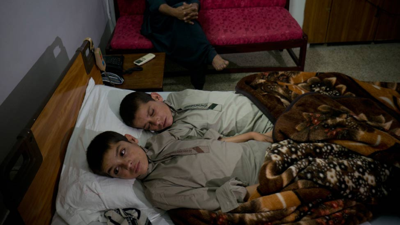  Two brothers who collapse after sunset and can only move or talk during the day