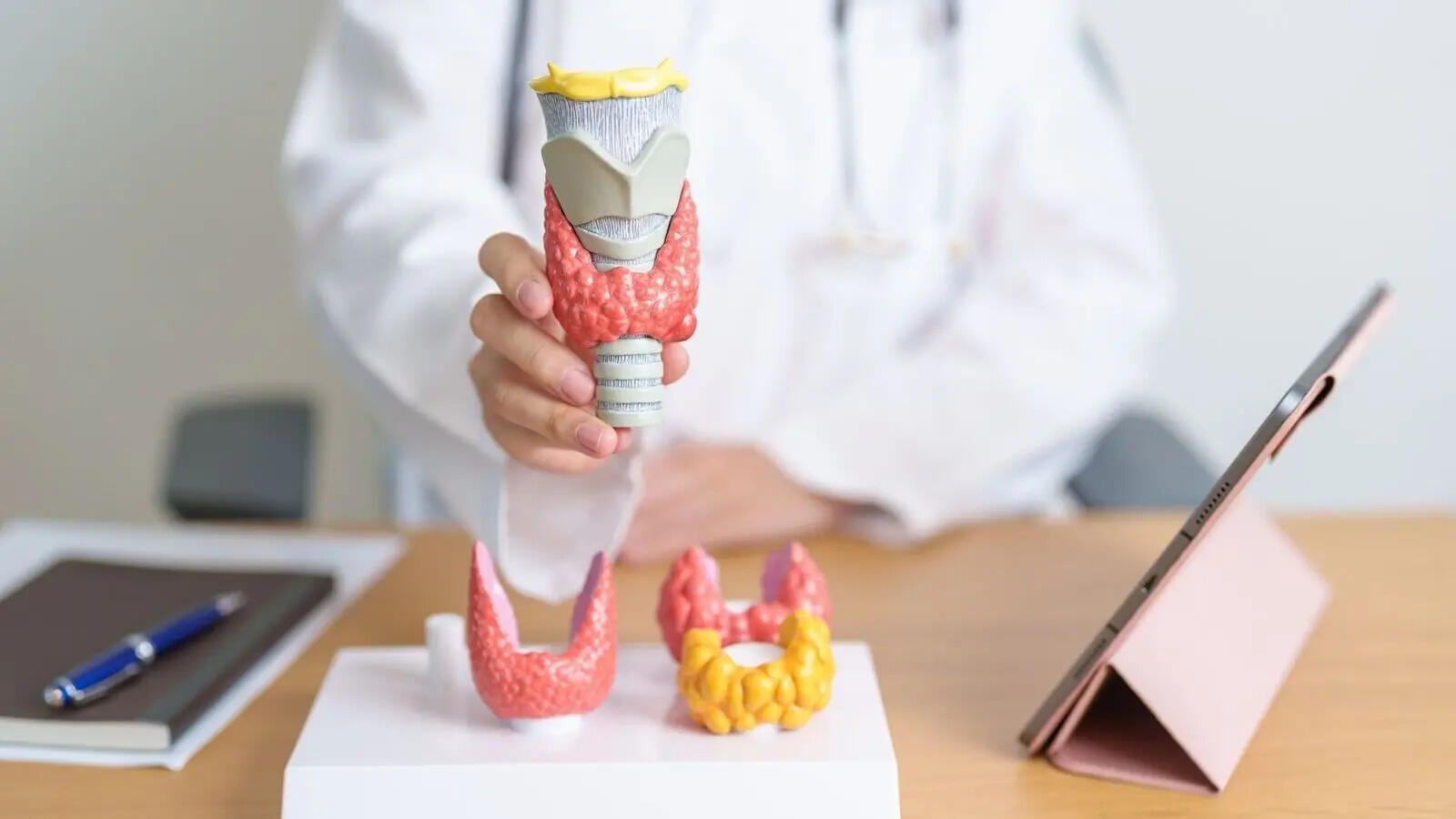 Thyroid
