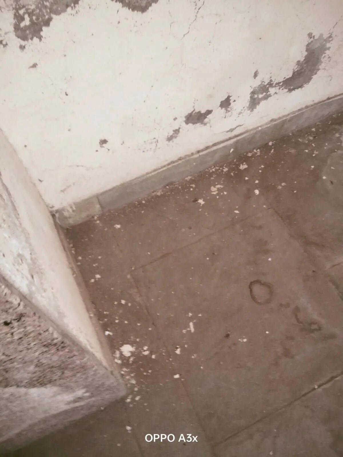 Sardar Patel school (current condition) (2).jpeg