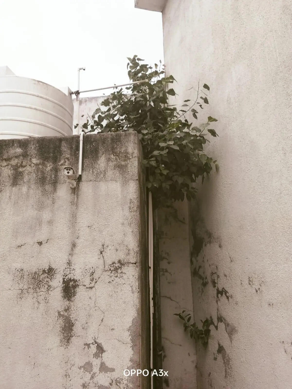 Sardar Patel school (current condition) (5).jpeg