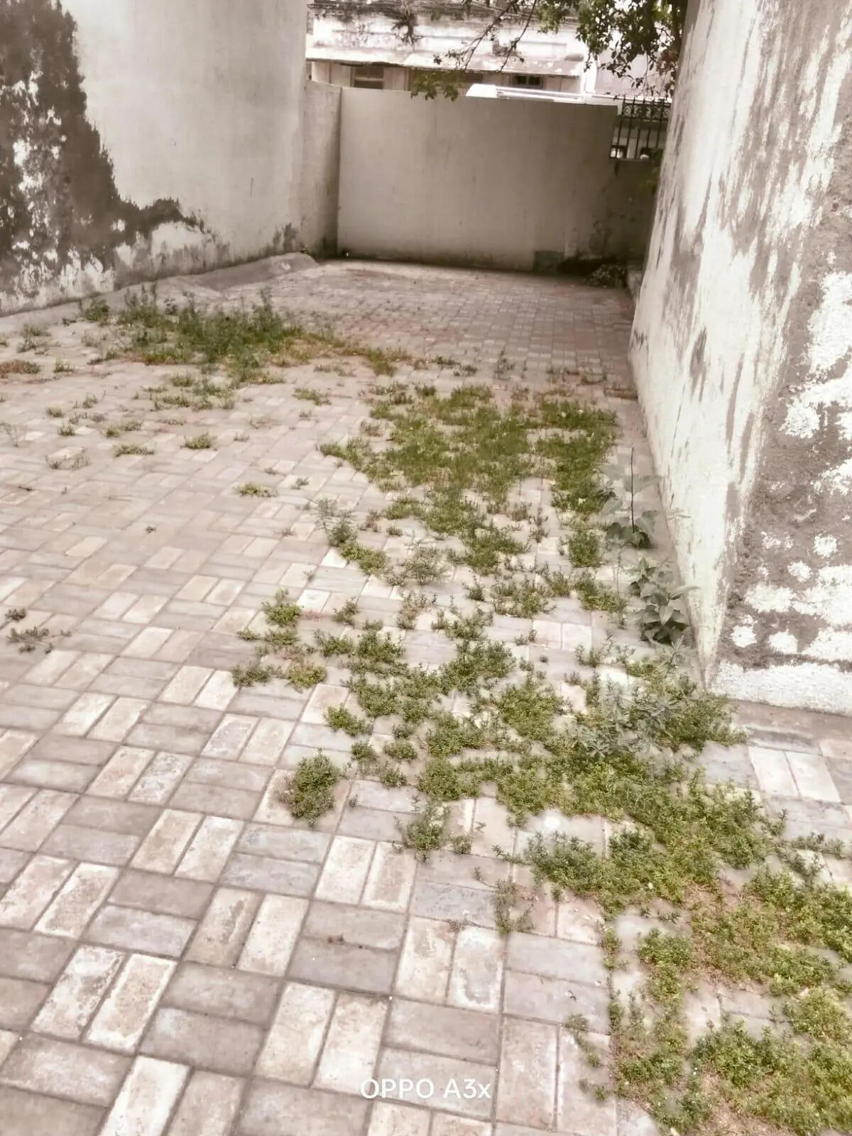 Sardar Patel school (current condition) (6).jpeg