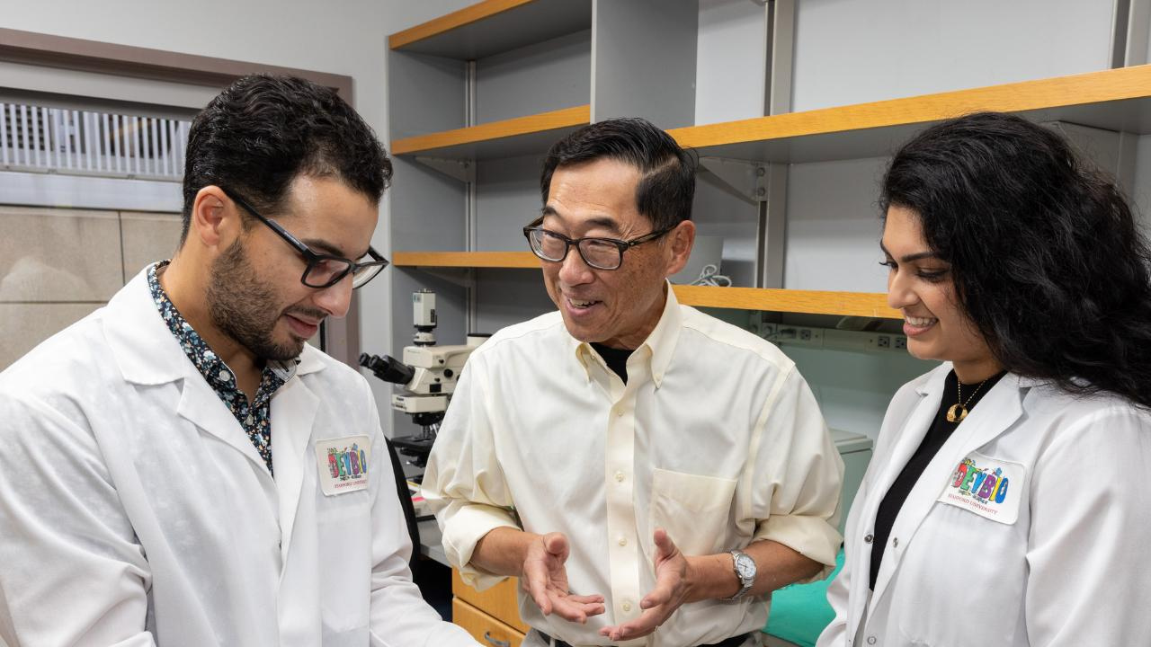 Stanford scientists cured Type 1 diabetes in a breakthrough experiment