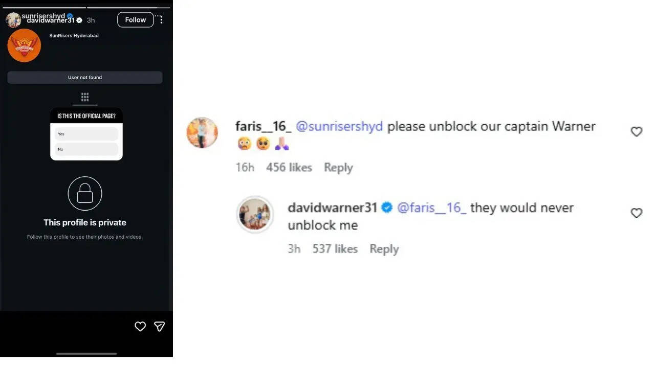 David Warner's Instagram reply