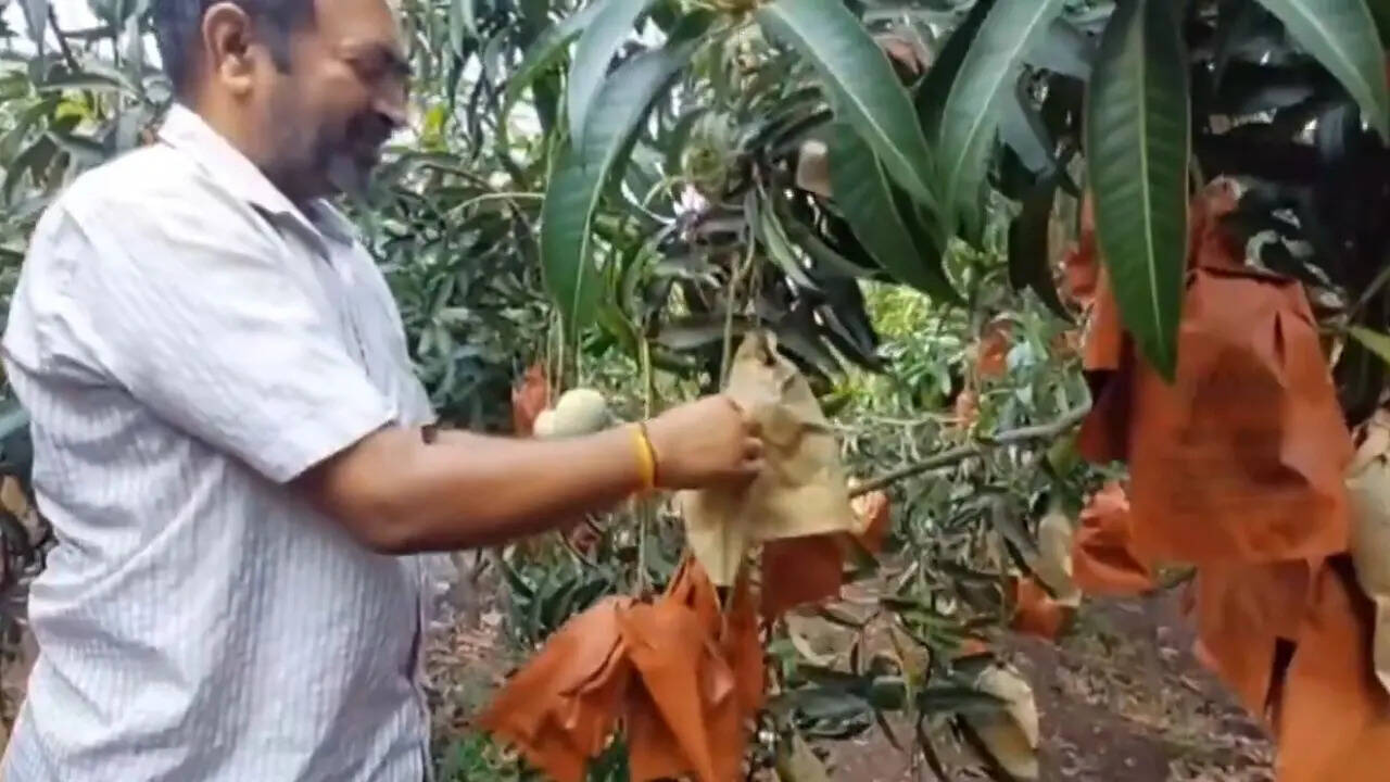 He shared that he learned about Israeli agricultural methods through YouTube videos