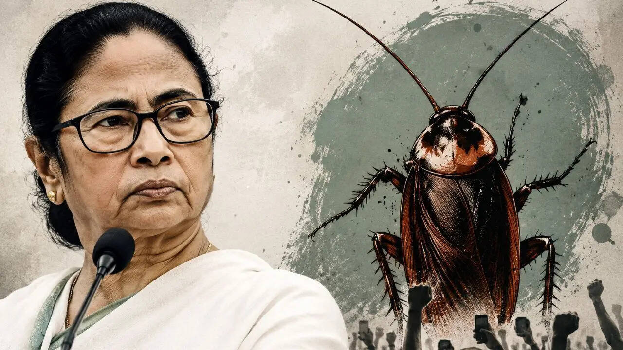 'Full support for cockroaches': Mamata Banerjee 'expressed fondness' for CJP