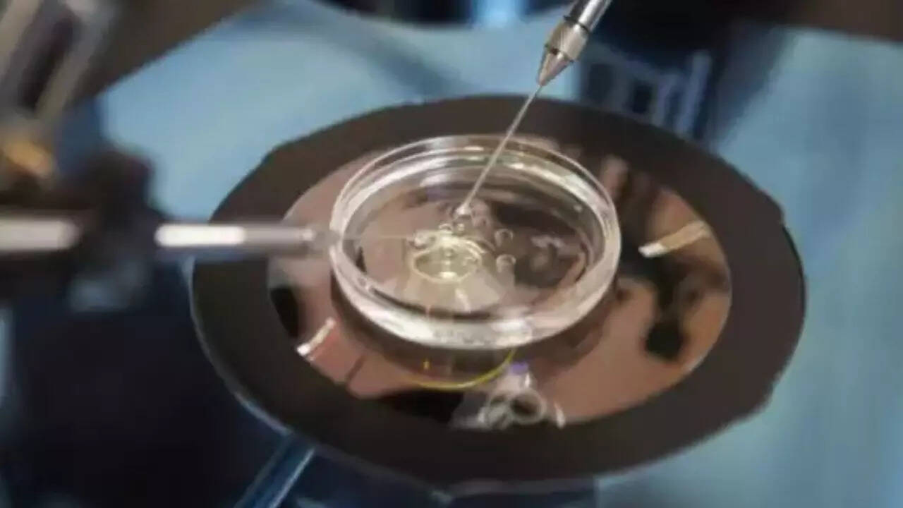 IVF centres