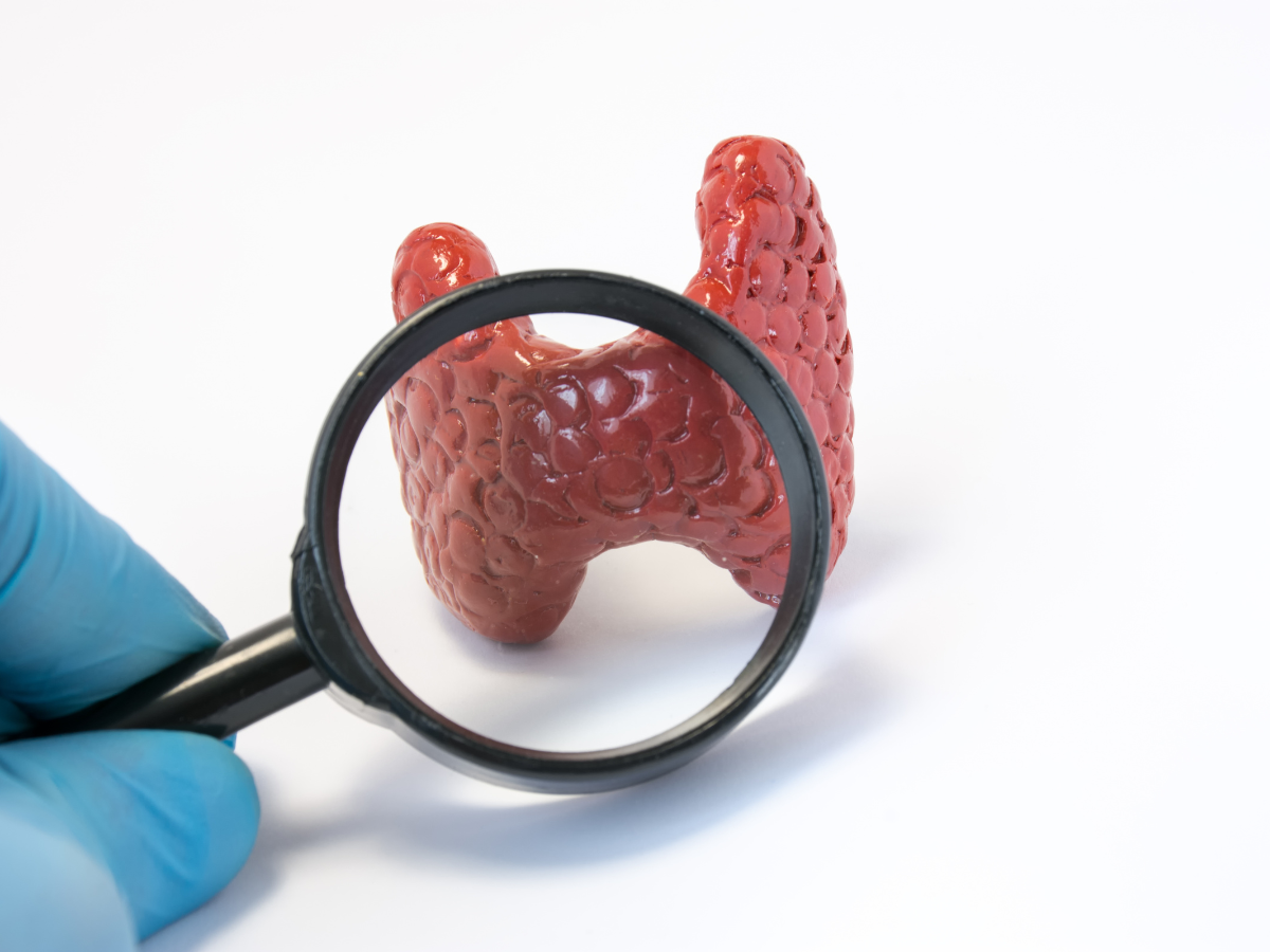 thyroid health​
