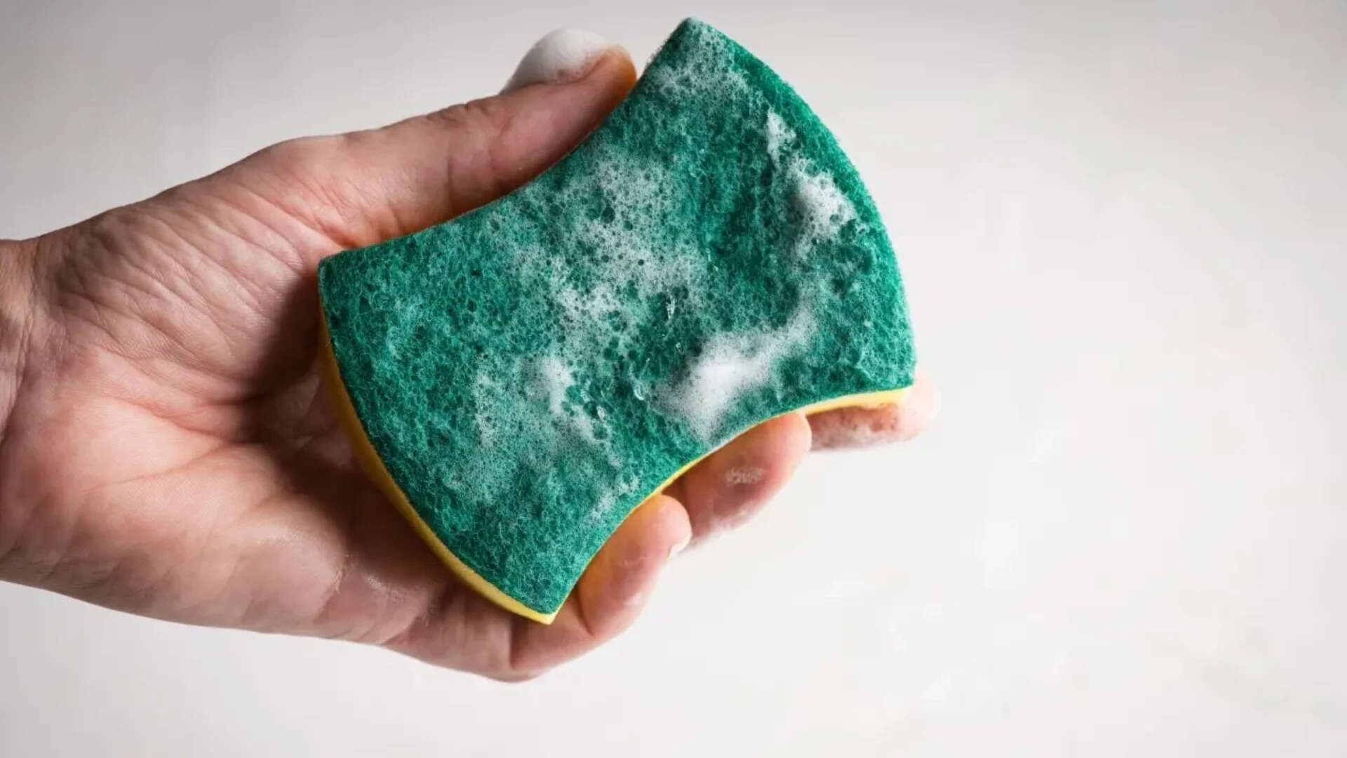sponge