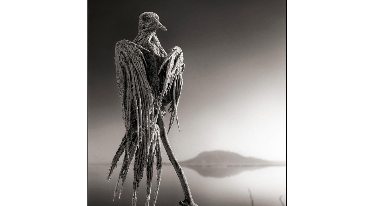 The photographs that terrified the internet