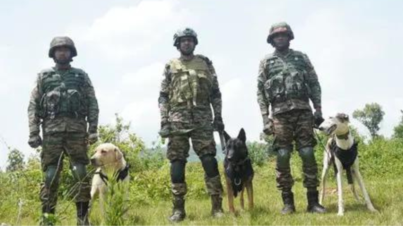 Operation Sheruwali enters day 4, searches intensified