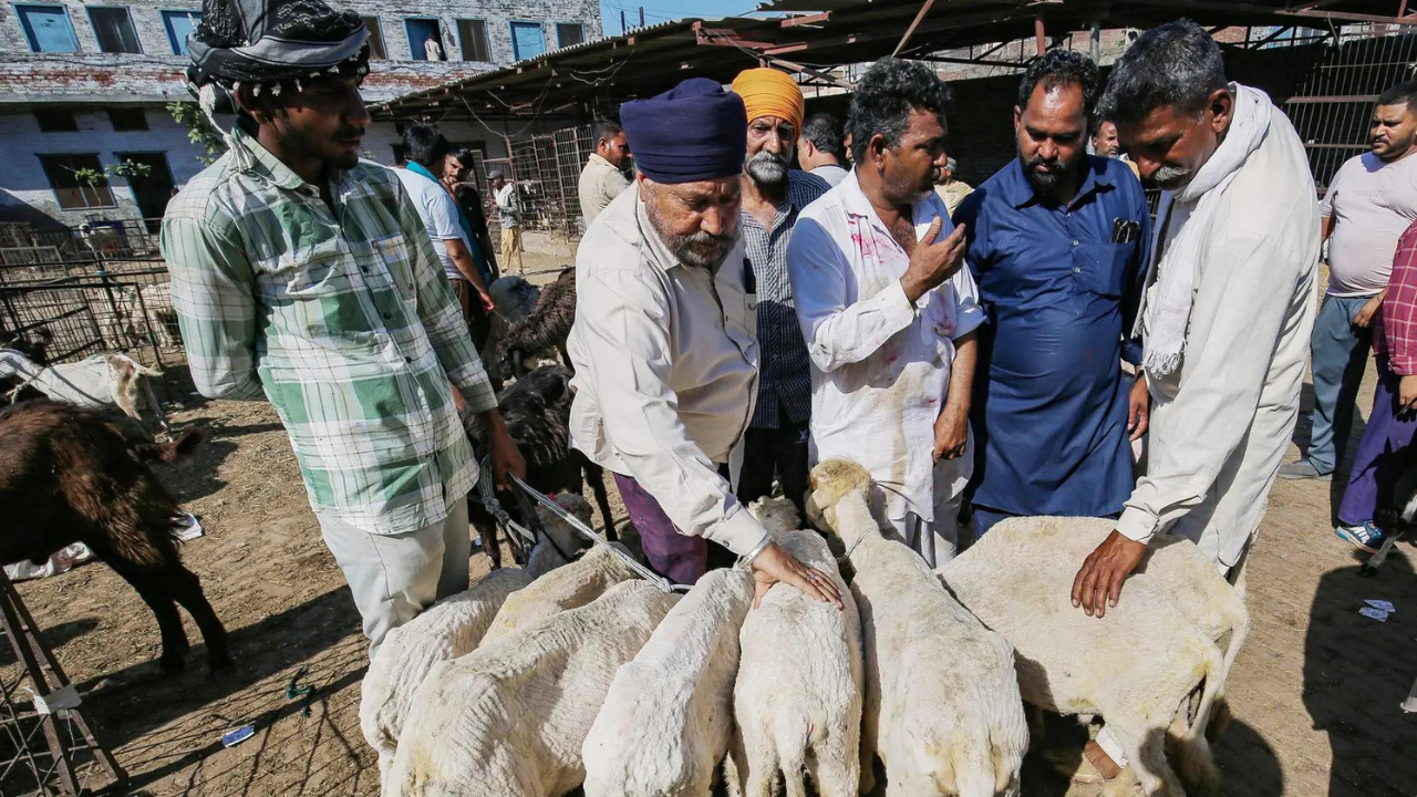 Delhi govt monitors transportation, sale and sacrifice of animals ahead of Eid