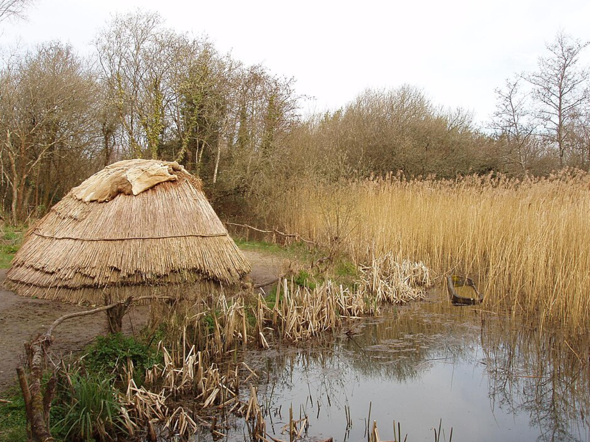 Mesolithic