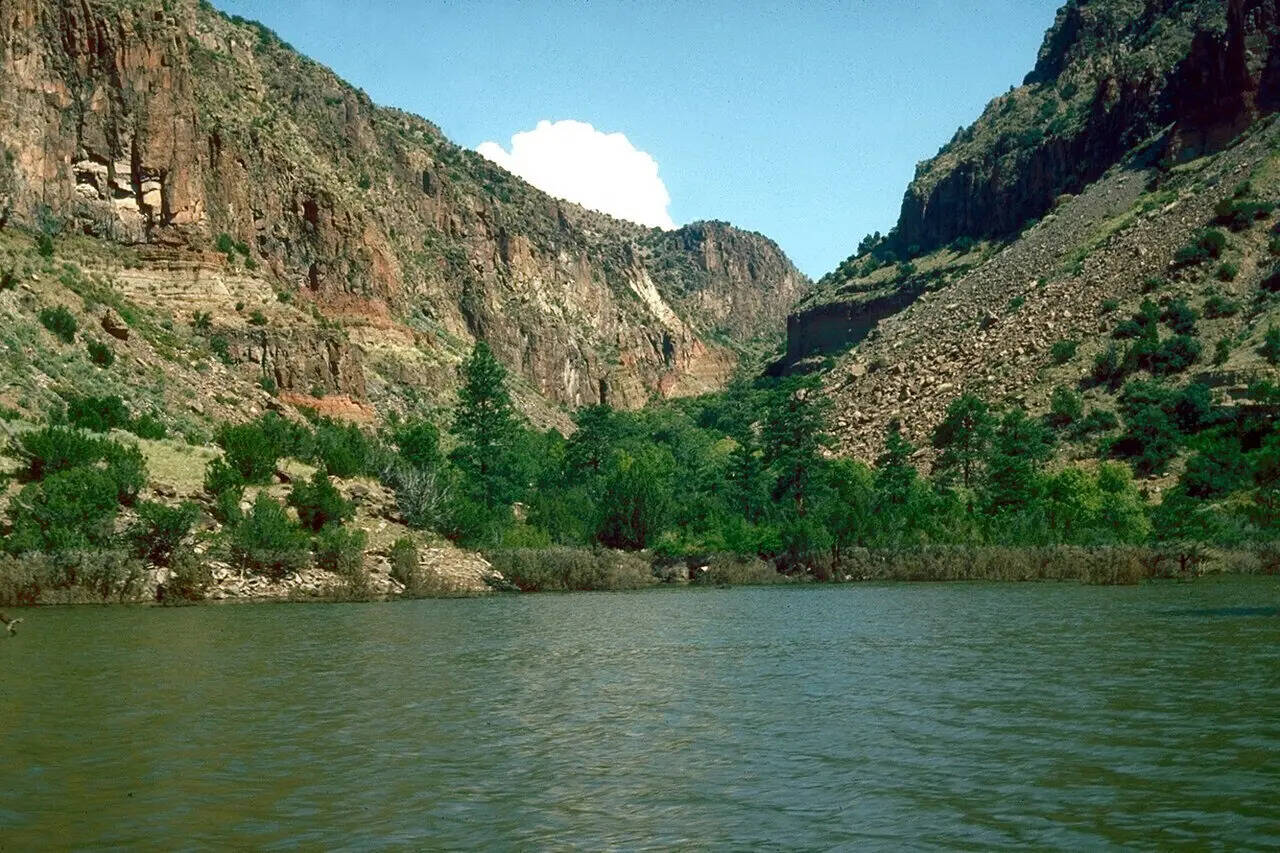 Cochiti_Lake_shoreline