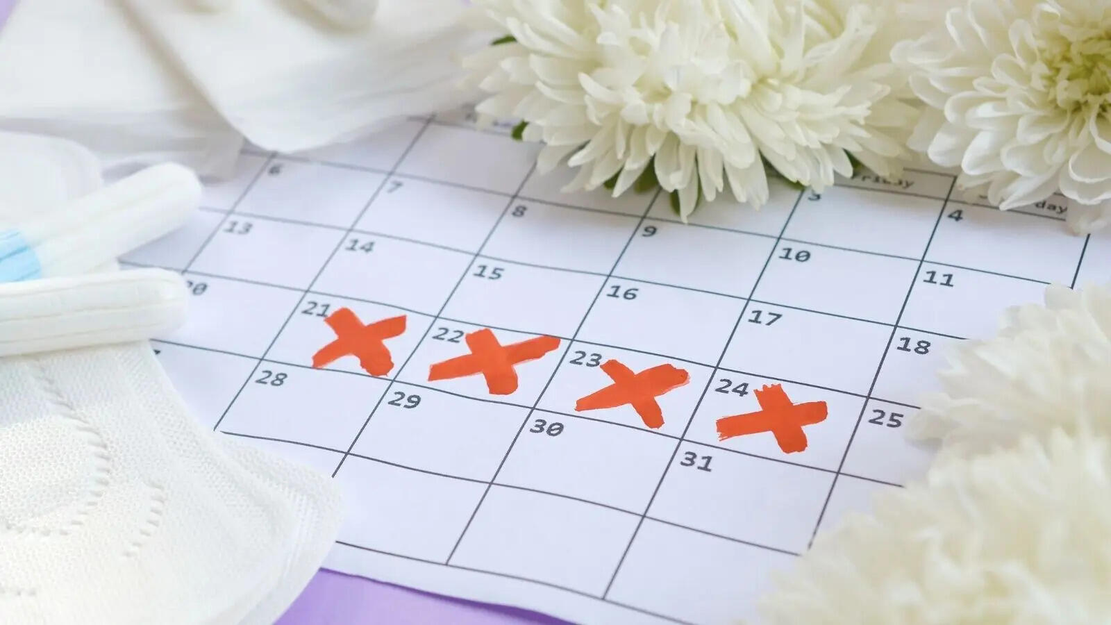 Menstrual cycle