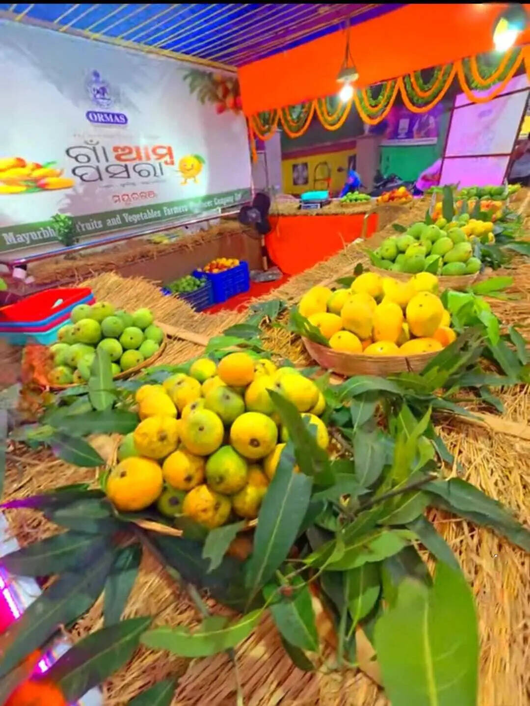 a7d25506-f7e7-4cff-b6e9-5dfbc3177e8e_Manabesh_Mango_fair_1_.jpg