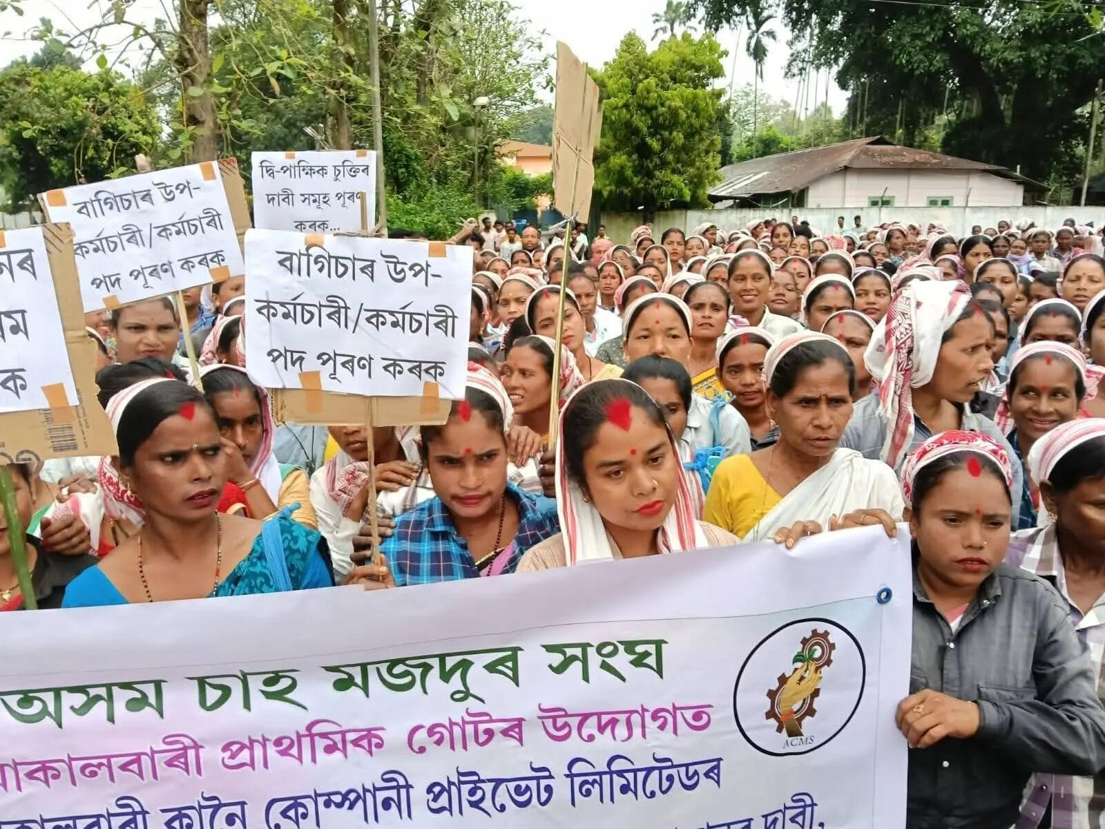 37059d92-400d-4edb-a6e8-a62221779eab_Tea_workers_protest_.jpg