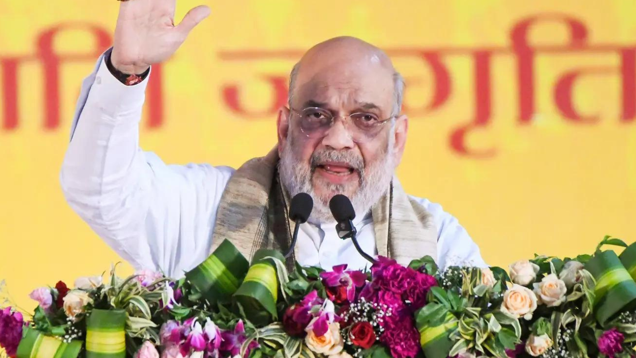 Amit Shah says panel on ‘artificial’ demographic change will examine need for new law
